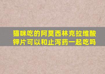 猫咪吃的阿莫西林克拉维酸钾片可以和止泻药一起吃吗