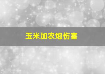 玉米加农炮伤害