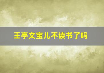 王亭文宝儿不读书了吗