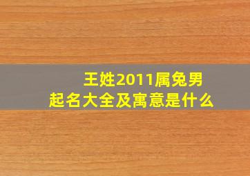 王姓2011属兔男起名大全及寓意是什么