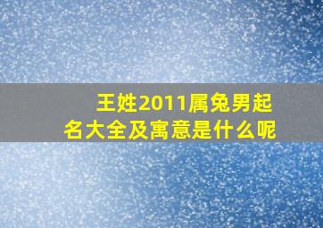 王姓2011属兔男起名大全及寓意是什么呢