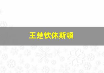 王楚钦休斯顿