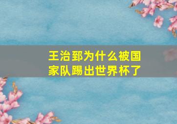 王治郅为什么被国家队踢出世界杯了