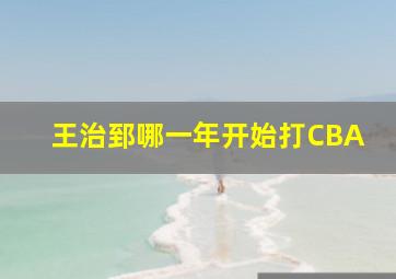 王治郅哪一年开始打CBA