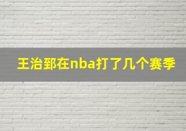 王治郅在nba打了几个赛季