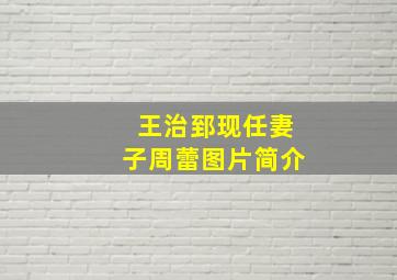 王治郅现任妻子周蕾图片简介