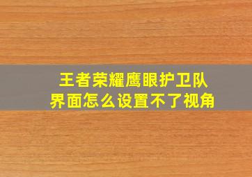 王者荣耀鹰眼护卫队界面怎么设置不了视角