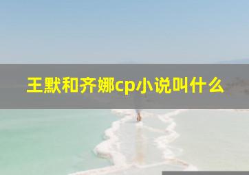 王默和齐娜cp小说叫什么