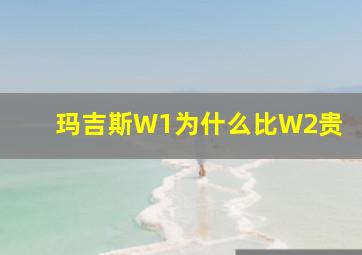 玛吉斯W1为什么比W2贵