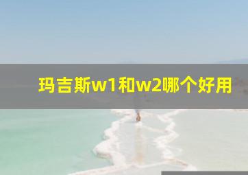 玛吉斯w1和w2哪个好用