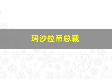 玛沙拉帝总裁