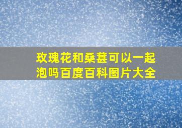 玫瑰花和桑葚可以一起泡吗百度百科图片大全