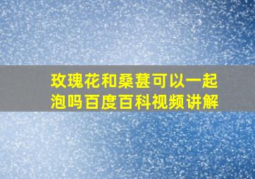 玫瑰花和桑葚可以一起泡吗百度百科视频讲解