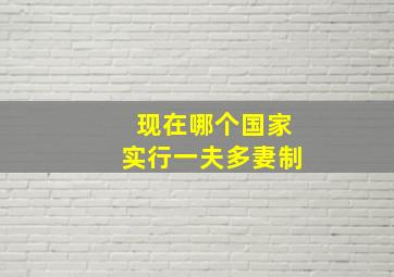 现在哪个国家实行一夫多妻制