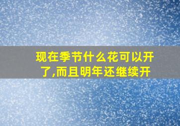 现在季节什么花可以开了,而且明年还继续开