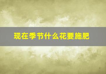 现在季节什么花要施肥