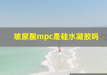 玻尿酸mpc是硅水凝胶吗