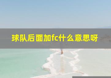 球队后面加fc什么意思呀