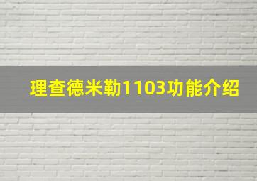 理查德米勒1103功能介绍