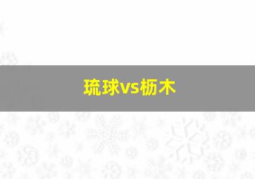 琉球vs枥木