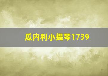 瓜内利小提琴1739