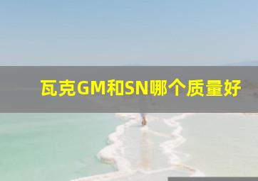 瓦克GM和SN哪个质量好