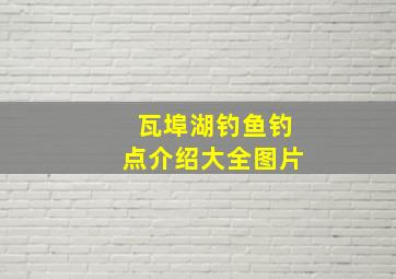 瓦埠湖钓鱼钓点介绍大全图片