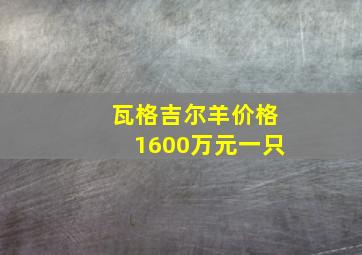 瓦格吉尔羊价格1600万元一只