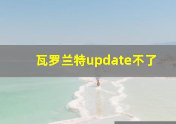 瓦罗兰特update不了