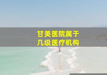 甘美医院属于几级医疗机构