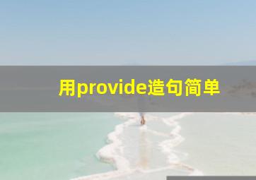 用provide造句简单