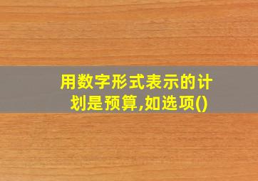 用数字形式表示的计划是预算,如选项()