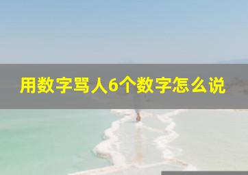 用数字骂人6个数字怎么说