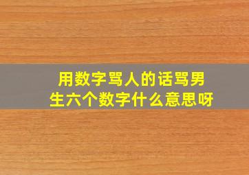 用数字骂人的话骂男生六个数字什么意思呀