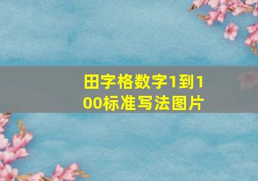 田字格数字1到100标准写法图片