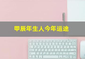 甲辰年生人今年运途