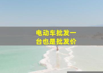 电动车批发一台也是批发价