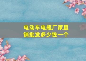 电动车电瓶厂家直销批发多少钱一个