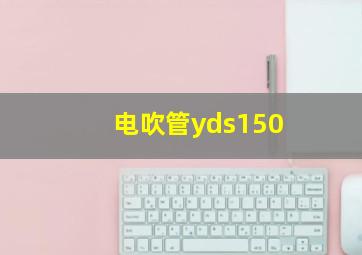 电吹管yds150