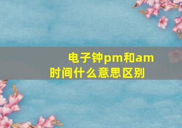 电子钟pm和am时间什么意思区别