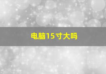 电脑15寸大吗