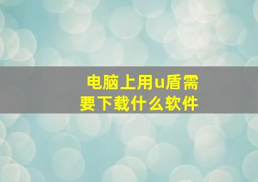 电脑上用u盾需要下载什么软件