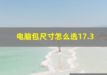 电脑包尺寸怎么选17.3