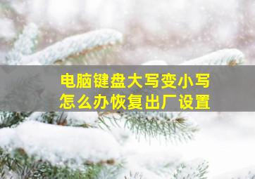 电脑键盘大写变小写怎么办恢复出厂设置