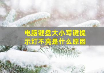 电脑键盘大小写键提示灯不亮是什么原因