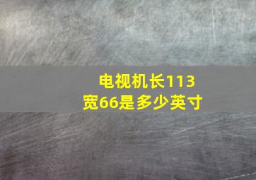 电视机长113宽66是多少英寸