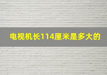 电视机长114厘米是多大的