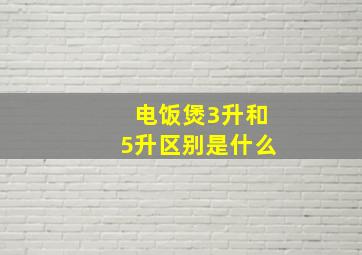 电饭煲3升和5升区别是什么