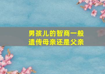 男孩儿的智商一般遗传母亲还是父亲