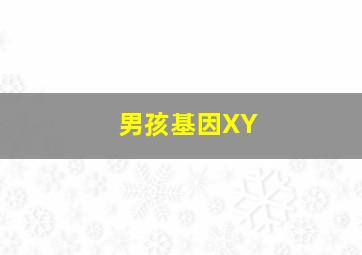 男孩基因XY